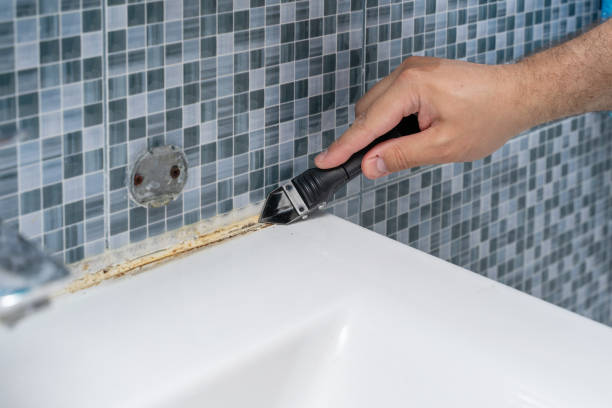Best Mold Removal Company Near Me  in Rochelle, IL