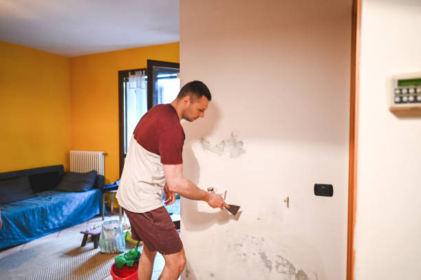 Best Residential Mold Removal  in Rochelle, IL